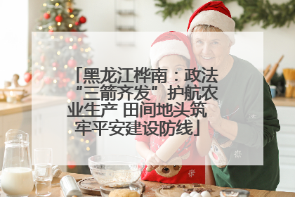 黑龙江桦南：政法“三箭齐发”护航农业生产 田间地头筑牢平安建设防线
