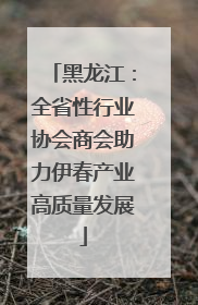 黑龙江：全省性行业协会商会助力伊春产业高质量发展