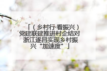 （乡村行·看振兴）党建联建推进村企结对 浙江遂昌实现乡村振兴“加速度”