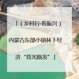 （乡村行·看振兴）内蒙古东部小镇林下经济“茸光焕发”