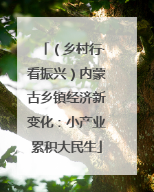（乡村行·看振兴）内蒙古乡镇经济新变化：小产业累积大民生