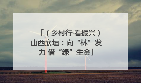 （乡村行·看振兴）山西襄垣：向“林”发力 借“绿”生金