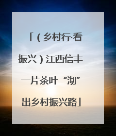 （乡村行·看振兴）江西信丰一片茶叶“沏”出乡村振兴路