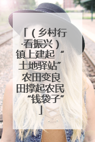 （乡村行·看振兴）镇上建起“土地驿站” 农田变良田撑起农民“钱袋子”