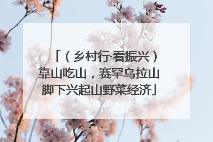 （乡村行·看振兴）靠山吃山，赛罕乌拉山脚下兴起山野菜经济