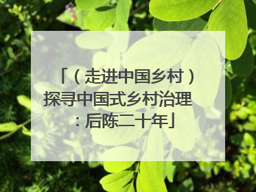 （走进中国乡村）探寻中国式乡村治理：后陈二十年