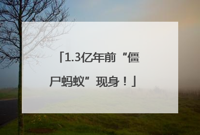 1.3亿年前“僵尸蚂蚁”现身！