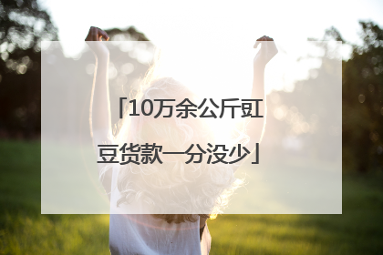 10万余公斤豇豆货款一分没少