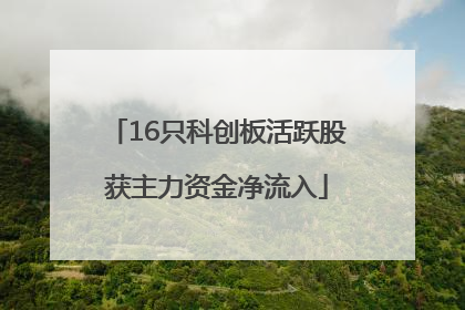 16只科创板活跃股获主力资金净流入