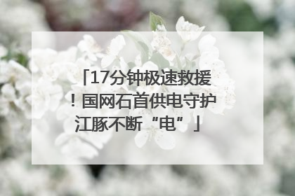 17分钟极速救援！国网石首供电守护江豚不断“电”