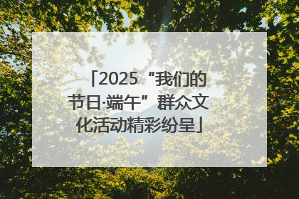 2025“我们的节日·端午”群众文化活动精彩纷呈
