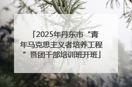 2025年丹东市“青年马克思主义者培养工程”暨团干部培训班开班