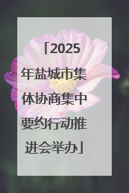 2025年盐城市集体协商集中要约行动推进会举办
