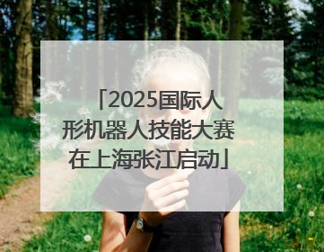 2025国际人形机器人技能大赛在上海张江启动