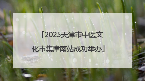 2025天津市中医文化市集津南站成功举办