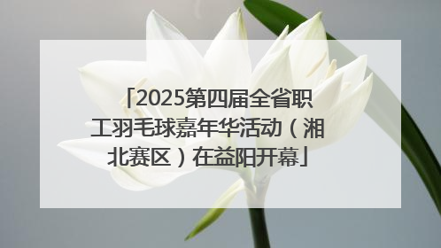 2025第四届全省职工羽毛球嘉年华活动（湘北赛区）在益阳开幕