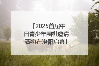 2025首届中日青少年围棋邀请赛将在洛阳启幕