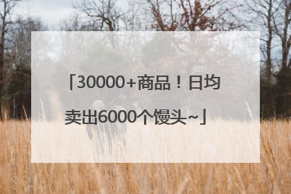 30000+商品！日均卖出6000个馒头~