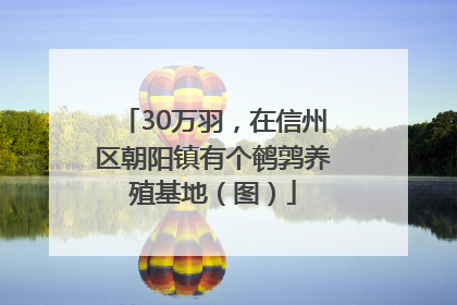 30万羽，在信州区朝阳镇有个鹌鹑养殖基地（图）