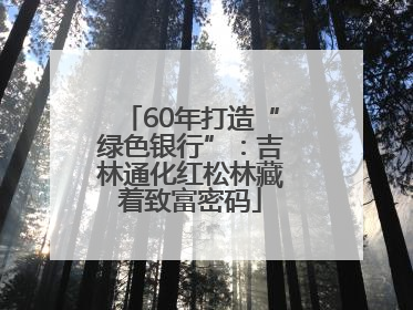 60年打造“绿色银行”：吉林通化红松林藏着致富密码