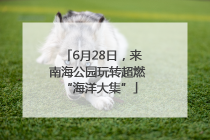 6月28日，来南海公园玩转超燃 “海洋大集”