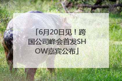 6月20日见！跨国公司峰会首发SHOW嘉宾公布