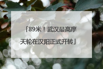 89米！武汉最高摩天轮在汉阳正式开转
