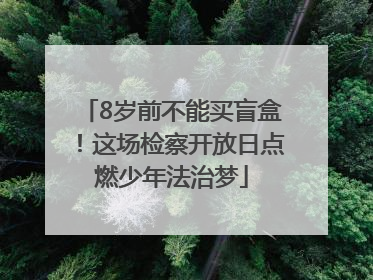 8岁前不能买盲盒！这场检察开放日点燃少年法治梦