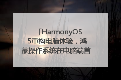 HarmonyOS 5重构电脑体验，鸿蒙操作系统在电脑端首次亮相丨新经济观察