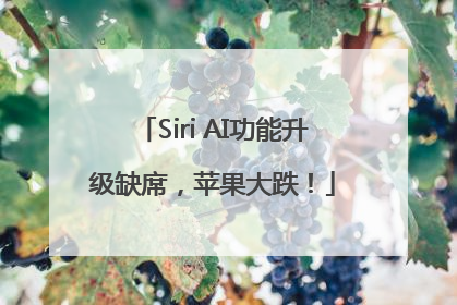 Siri AI功能升级缺席，苹果大跌！