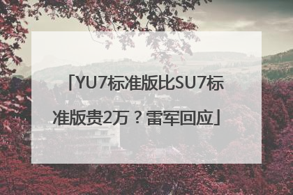 YU7标准版比SU7标准版贵2万？雷军回应